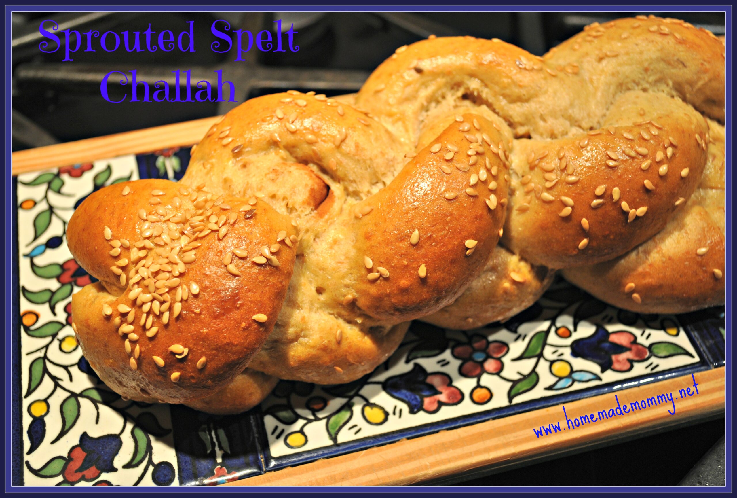 Sprouted Spelt Challah by Homemade Mommy