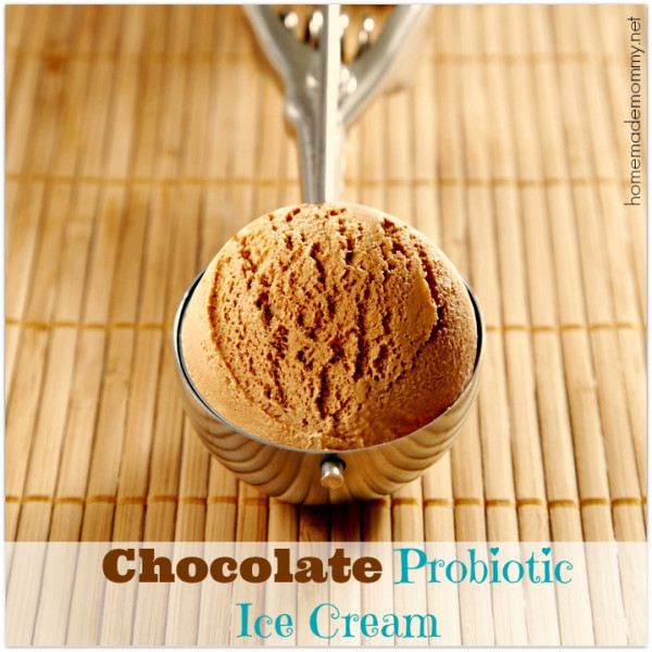 Chocolate Probiotic Ice Cream - Homemade Mommy