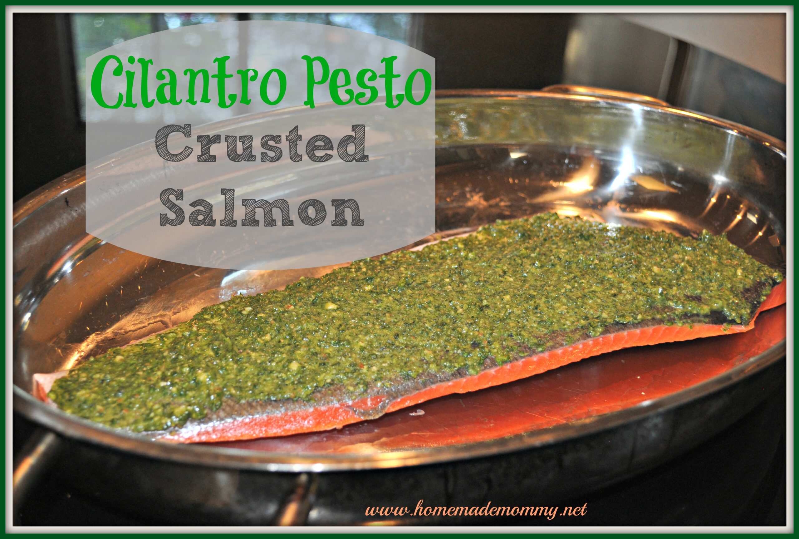 Cilantro Pesto Crusted Salmon by Homemade Mommy
