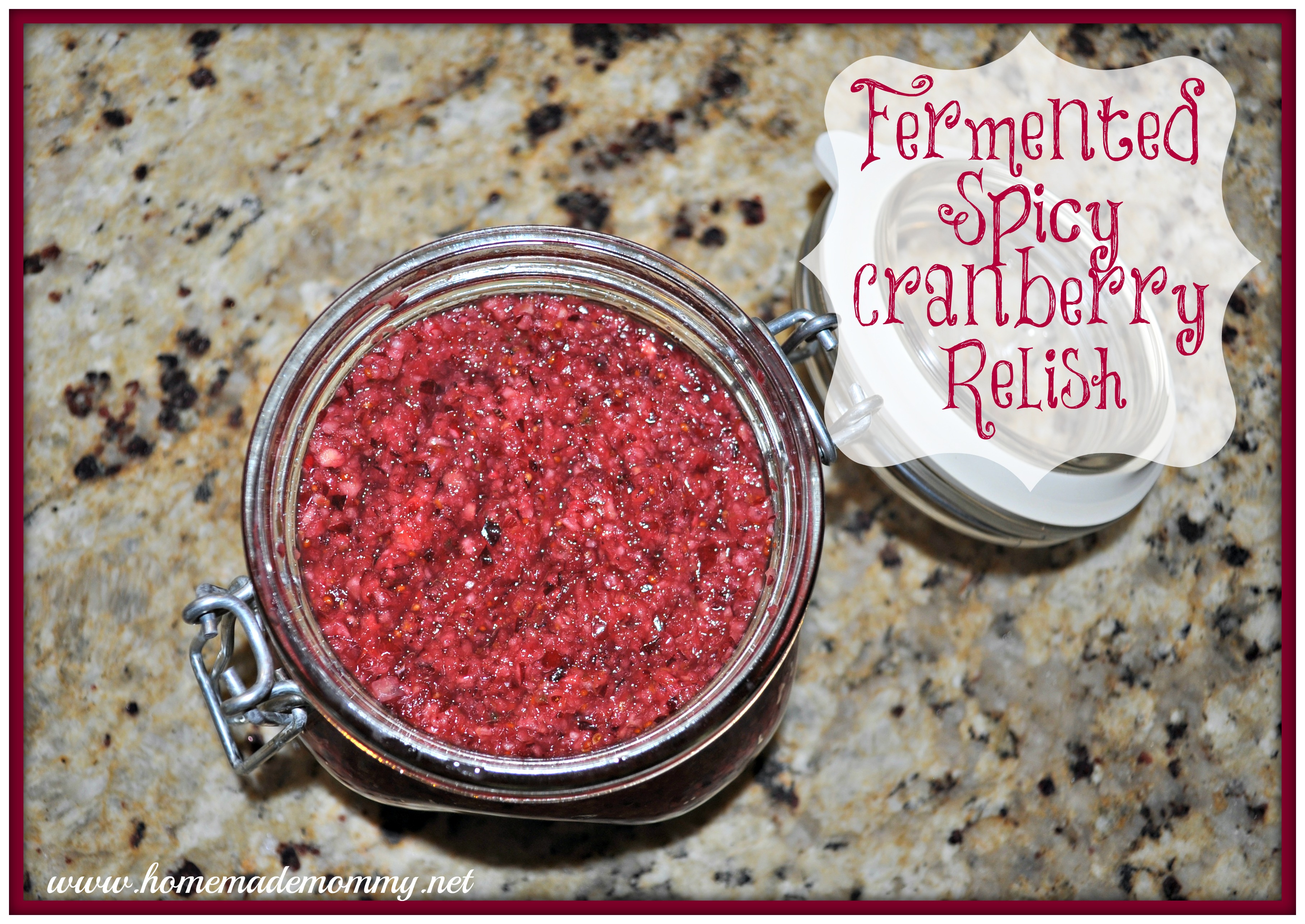 Spicy Fermented Cranberry Orange Relish