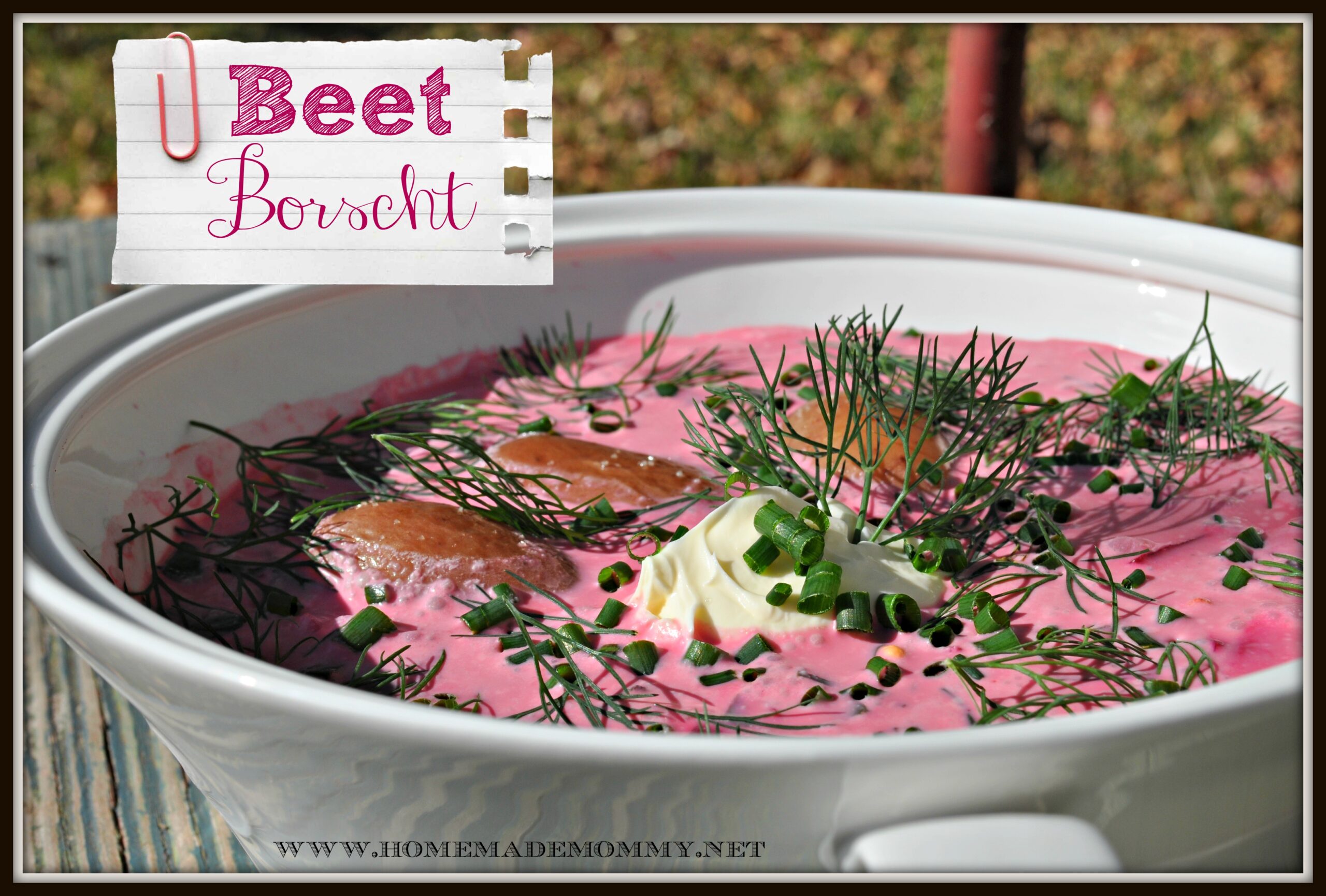 Beet Borscht by Homemade Mommy