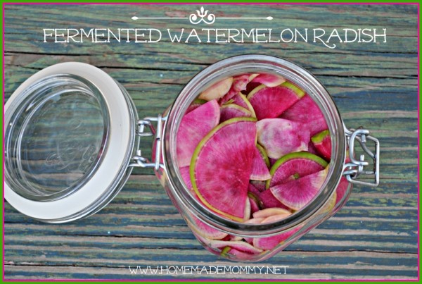Fermented Watermelon Radish