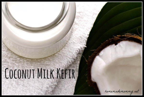 Coconut Milk Kefir