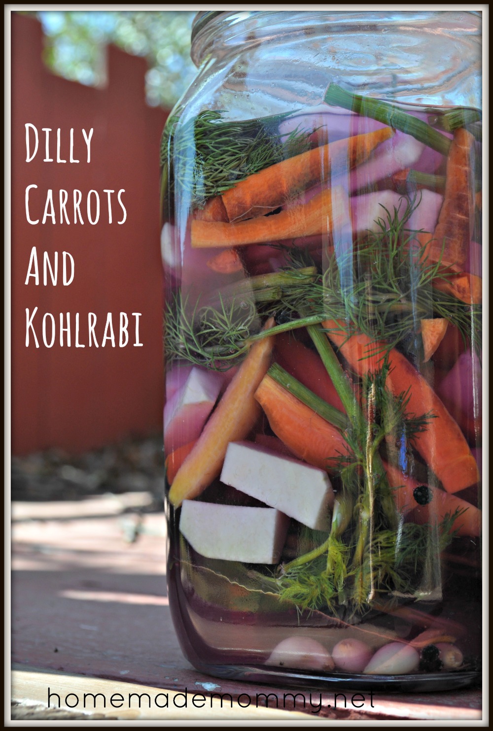Dilly Carrots and Kohlrabi