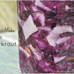Purple Sauerkraut by Homemade Mommy