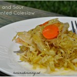 Sweet and Sour Fermented Coleslaw