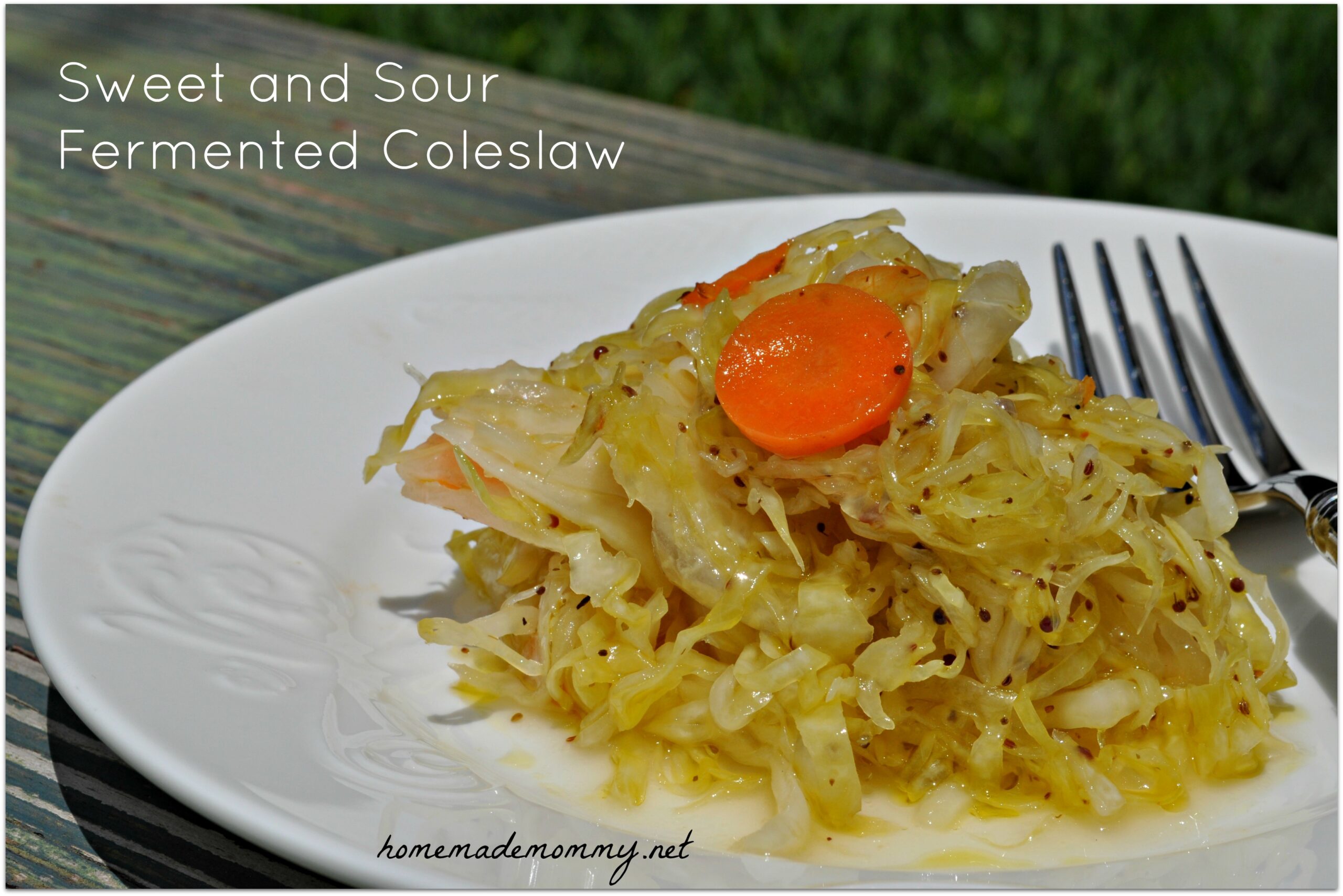 Sweet and Sour Fermented Coleslaw