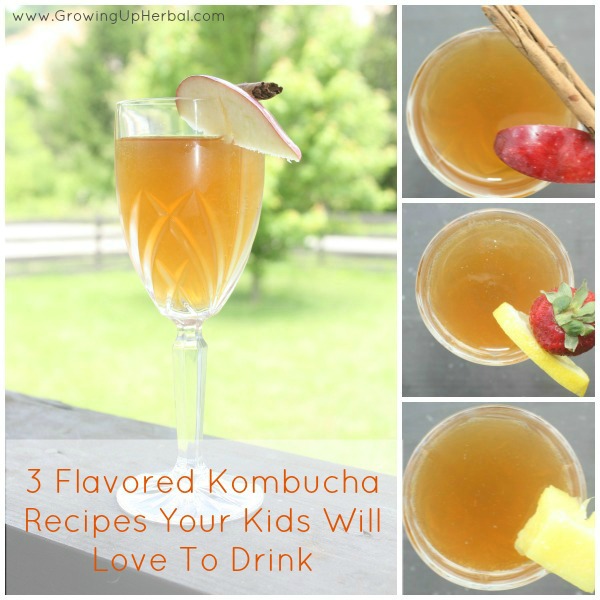 3 Flavored Kombucha Recipes Your Kids Will Love To Drink
