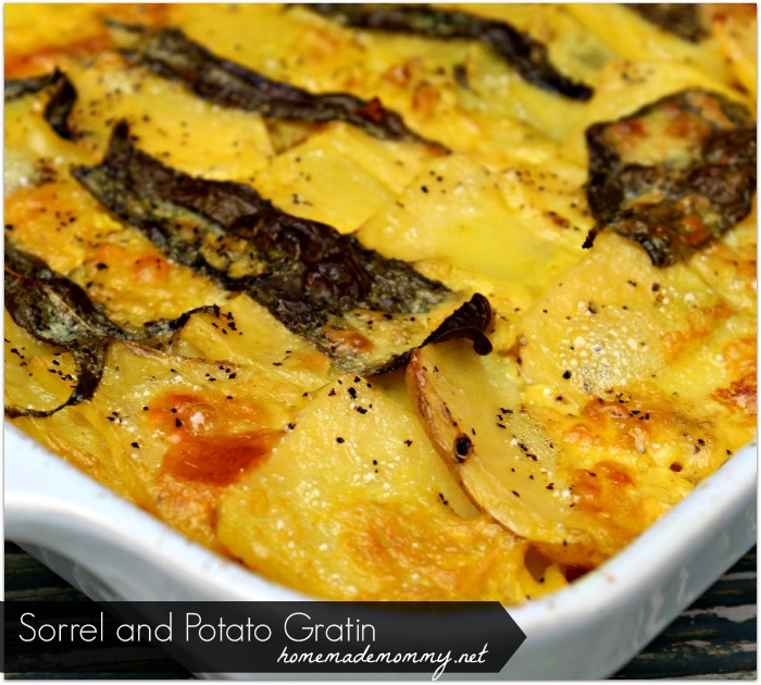 Sorrel and Potato Gratin