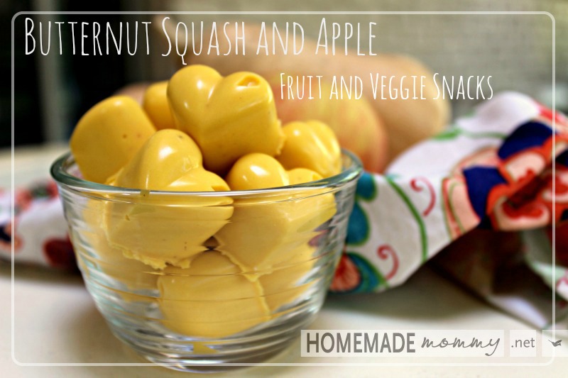 Butternut Squash and Apple Fruit and Veggie Snacks