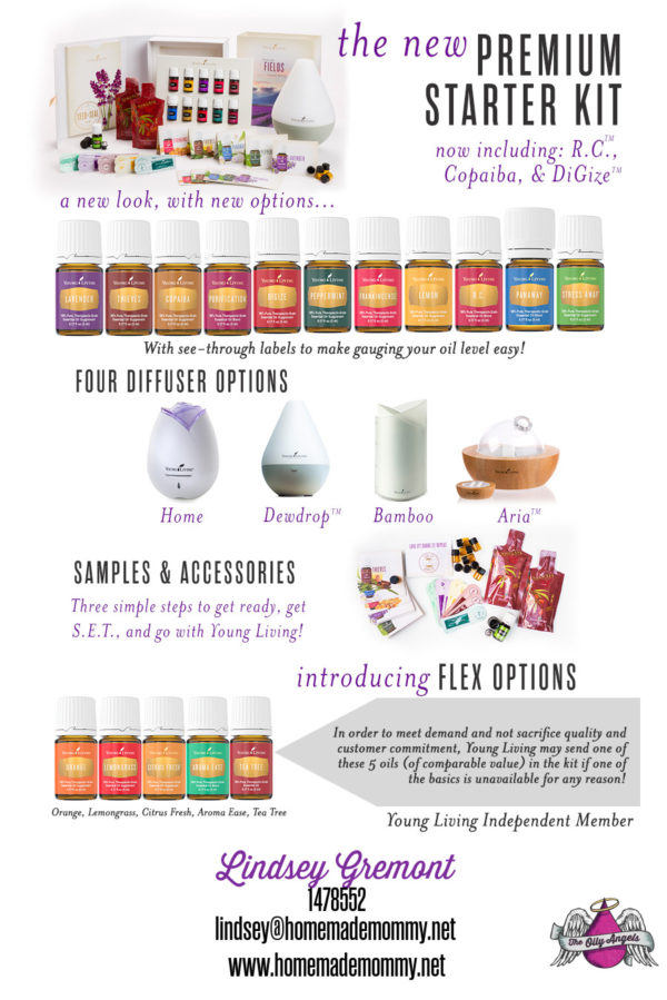 The Brand New Premium Starter Kit | www.homemademommy.net