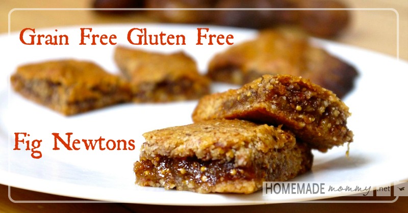 Homemade Fig Newtons