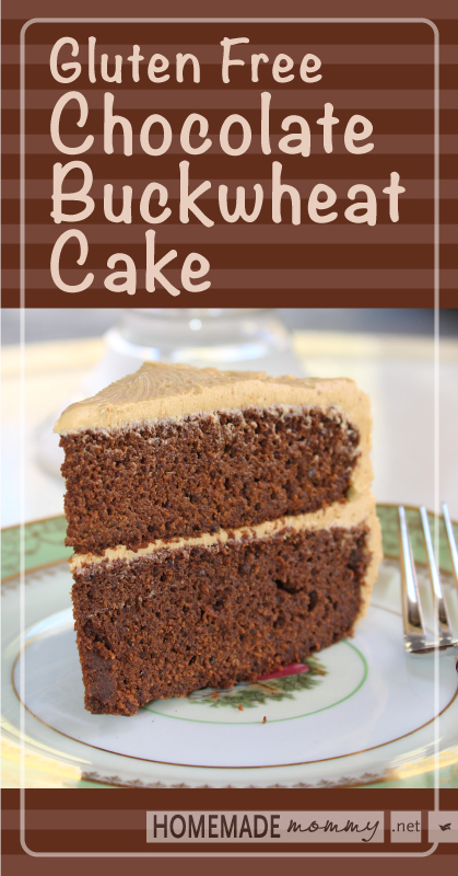 Gluten Free Chocolate Buckwheat Cake - Brilliant! No weird gluten free flour mixes at ALL! Decadent and Delicious! | www.homemademommy.net