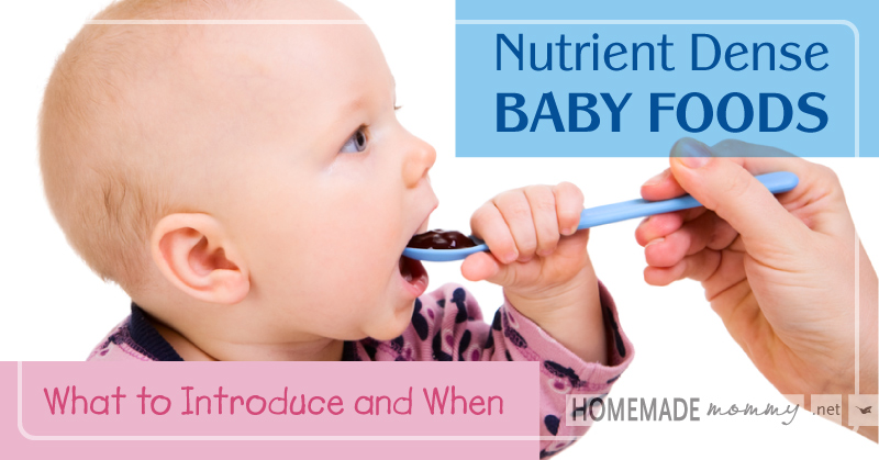 Nutrient Dense Baby Foods: What to Introduce and When