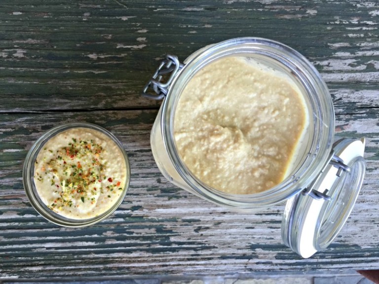Probiotic Fermented Hummus